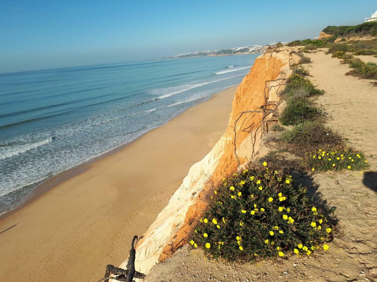 Apartamento Albufeira 6 B Zewnętrze zdjęcie
